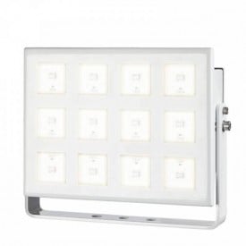 TUCANA 12 LED Stainless Steel Floodlight