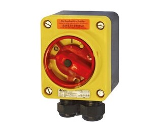 Interrupteurs d'éclairage, interrupteurs de sécurité et prises de courant 16A